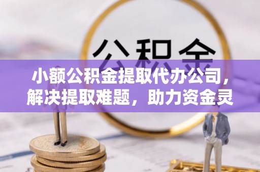 柳北小额公积金提取代办公司，解决提取难题，助力资金灵活使用