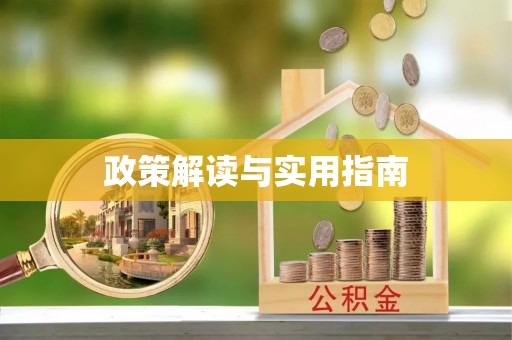 柳北政策解读与实用指南