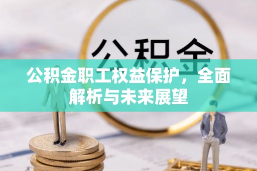 柳北公积金职工权益保护，全面解析与未来展望