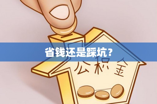 柳北省钱还是踩坑？