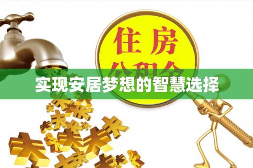 柳北实现安居梦想的智慧选择