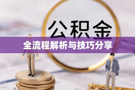柳北全流程解析与技巧分享
